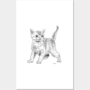 Cute little fluffy kitten! Posters and Art